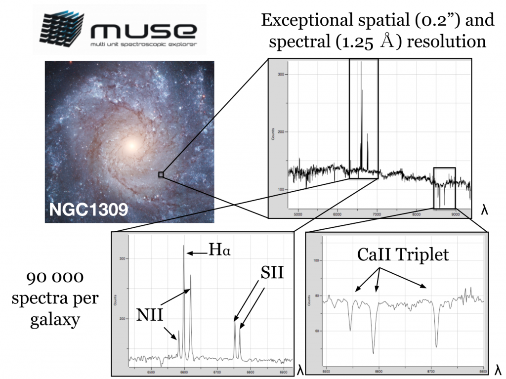 mad_ngc1309-sef