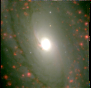 ngc4941