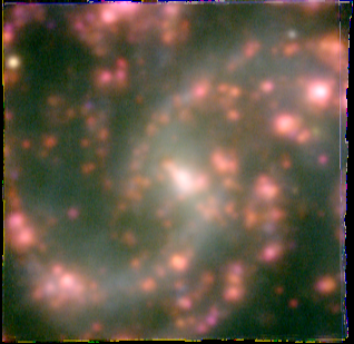 ngc5584