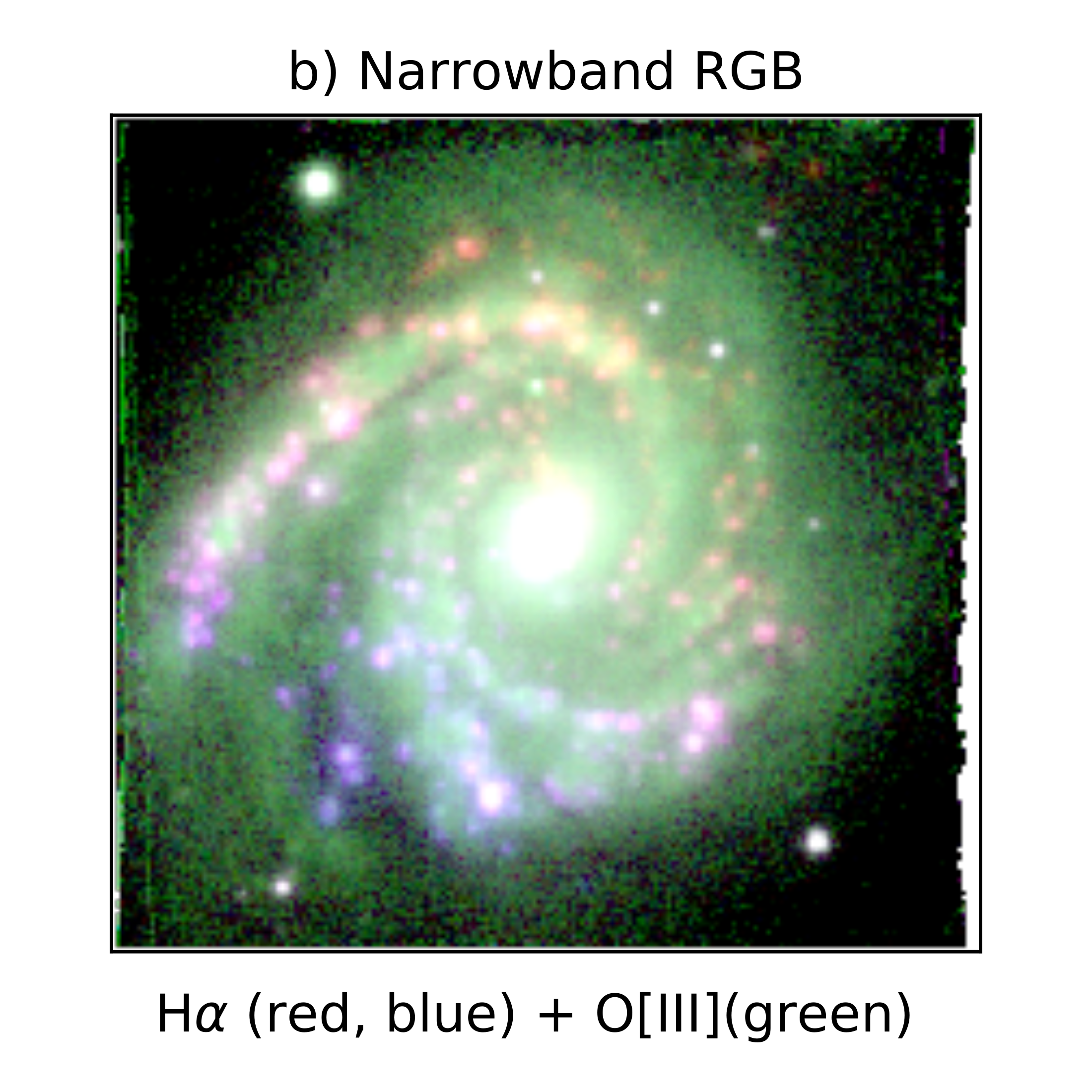 eso498-g5_b