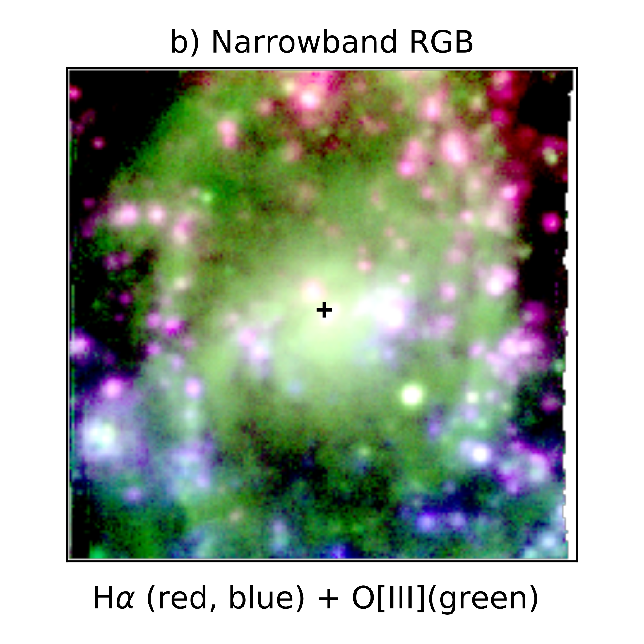 ngc2835_b